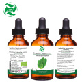 High quality Mentha Piperita essential oil Peppermint oil