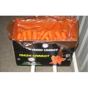 Pure Natural Fresh Organic Carrot Contains Vitamin C , Foli