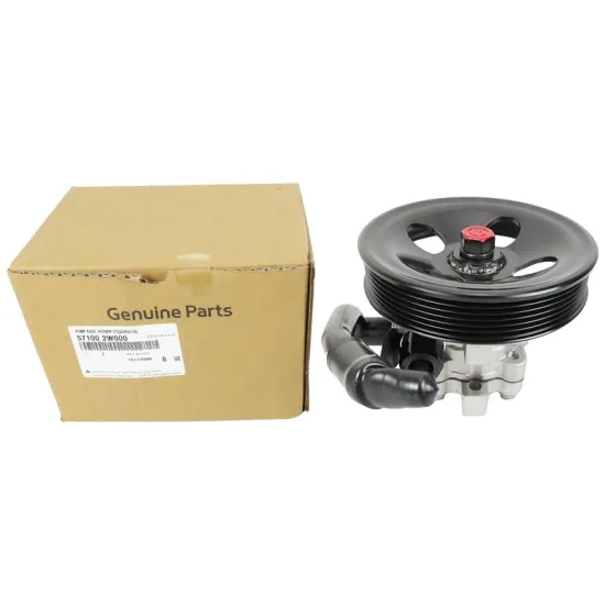 High Performance Power Steering Pump for Kia Sorento and Hyundai Santa Fe: OEM Parts 57100-2w100, 57100-2w000