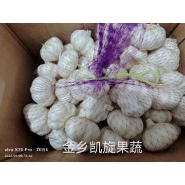 Vegetales naturales de ajo blanco fresco de Jinxiang