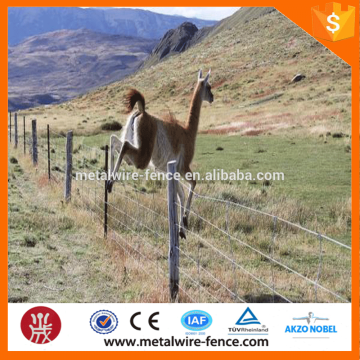 strong high quality cheap wire mesh cattle fence