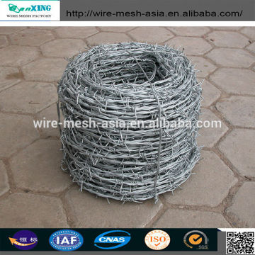 hot sale 20 years Professional factory( ISO9001)galvanized barbed wire BWG14x14 or BWG16x16 with1.6 mm 2.1mm 2.5mm wire diameter