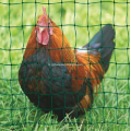 Plastic Anti Animals Garden Fence