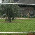 Chain link wire fence mesh rolls