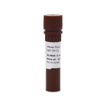 Alexa Fluor 594 AffiniPure الماعز المضاد للأرنب IgG (H+L)