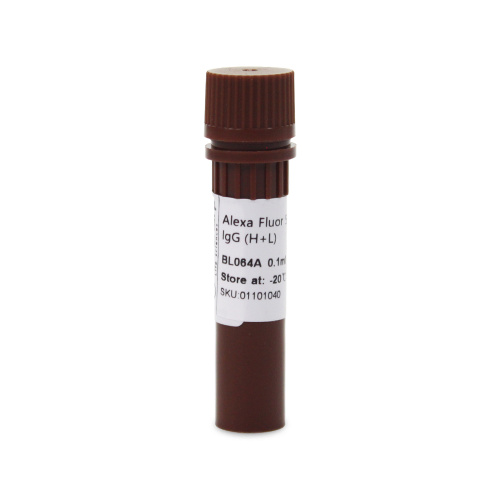 Alexa Fluor 594 AffiniPure الماعز المضاد للأرنب IgG (H+L)