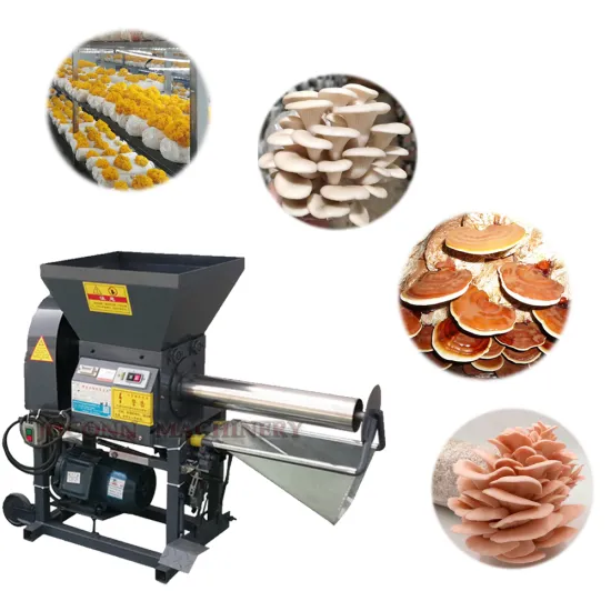 Factory Price Enoki Mushroom Bagging Machine for Compost and Shiitake Production Line" 

However, if you want a more concise and direct title suitable for a search engine, you might consider:

"Enoki Mushroom Bagging Machine - Factory Price