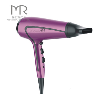 Hair Dryer Salon Hair Dryer Professional Hair Dryer