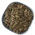 Обычные семена подсолнечника типа 361 для продажи