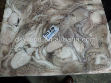 Baby Octopus Price