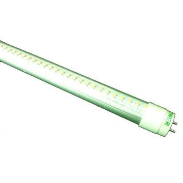 T8 Tubo LED con 18W