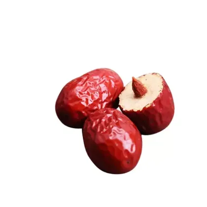 Wholesale Jujube Extract Powder