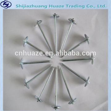 common wire nails Ordinary round nail