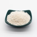 Integratore probiotico salutare sfera lactobacillus casei
