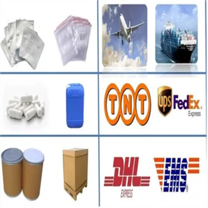 Wholesale Parsnip root extract powder fang feng extract