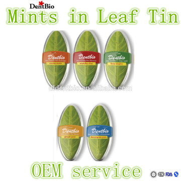 Green Tea candy with orange flavour in leaf tin can mint candy brands bulk mint tins