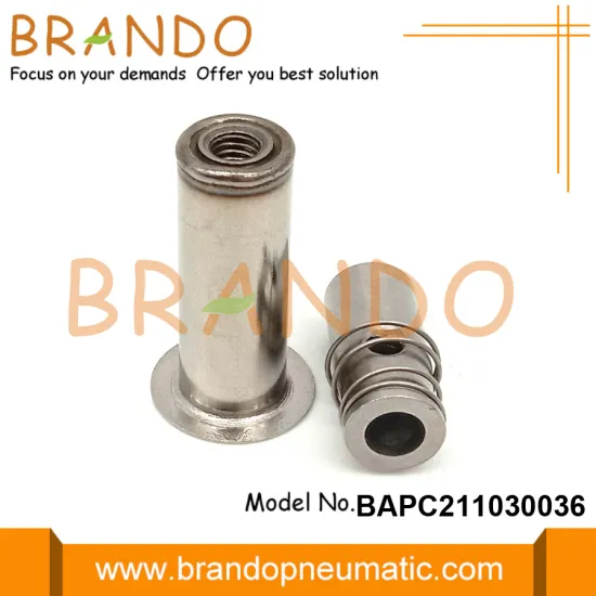 Ro Solenoid Valve Part Assembly Kit Armature Plunger