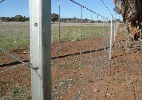 Flat Mesh Surface Electro Galvanized Farm Guard Field Fence For Cattle, Horse Pasture Fencing