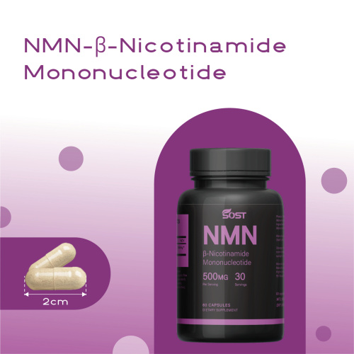 Le capsule NMN aumentano i livelli di NAD+ nel sangue