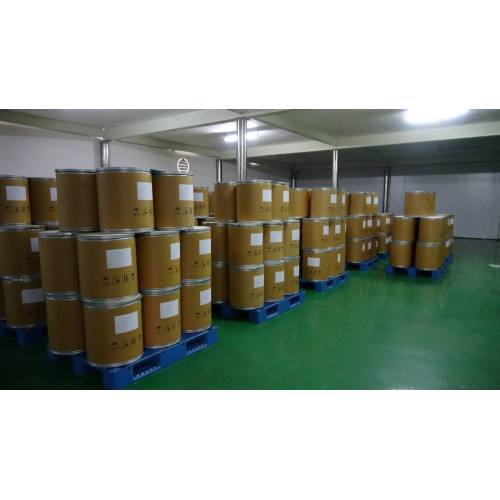 GMP Factory Directly Supply Rosemary Herb Extract