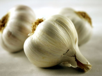 White Garlic For Sale