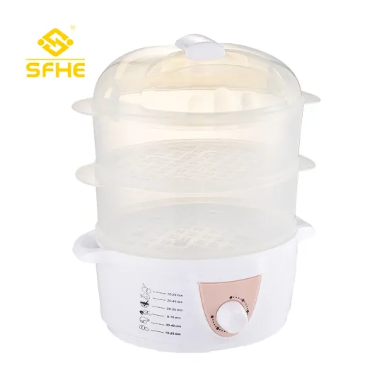 Multifunctional electric steamer household