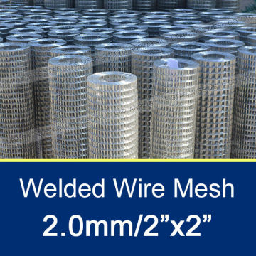 2.0mm/2"x2" Galvanized Welded Wire Mesh for Sale