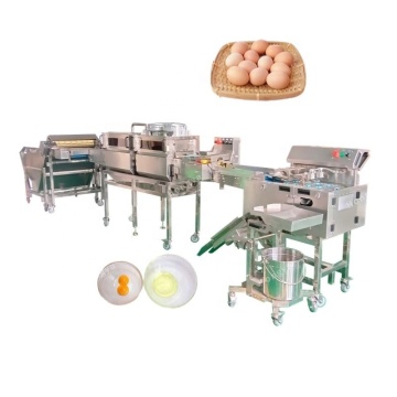 2024 Automatic Egg Processing Line: Cracker and Separator Machine
