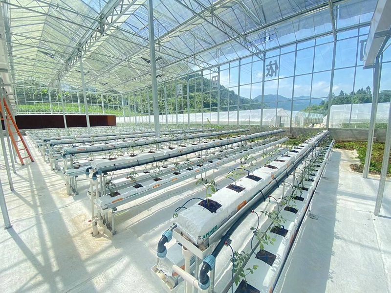 Qingcheng Agriculture's Crafted Pengshui Glass Greenhouse Project: Soilless Cultivation Industrial Park Launched and Operational