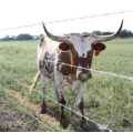 Preço de fábrica galvanizado de alta qualidade