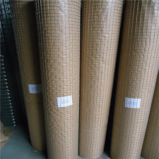 Galvanized Steel Stucco Mesh