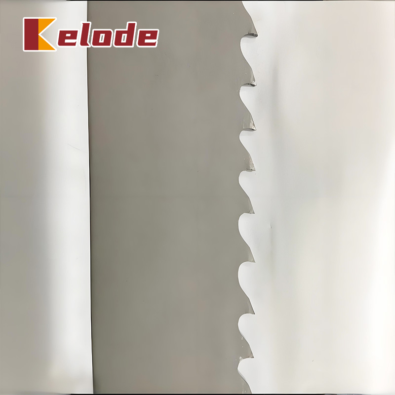 شفرة منشار من السبائك الصلبة - مقسم عالمي