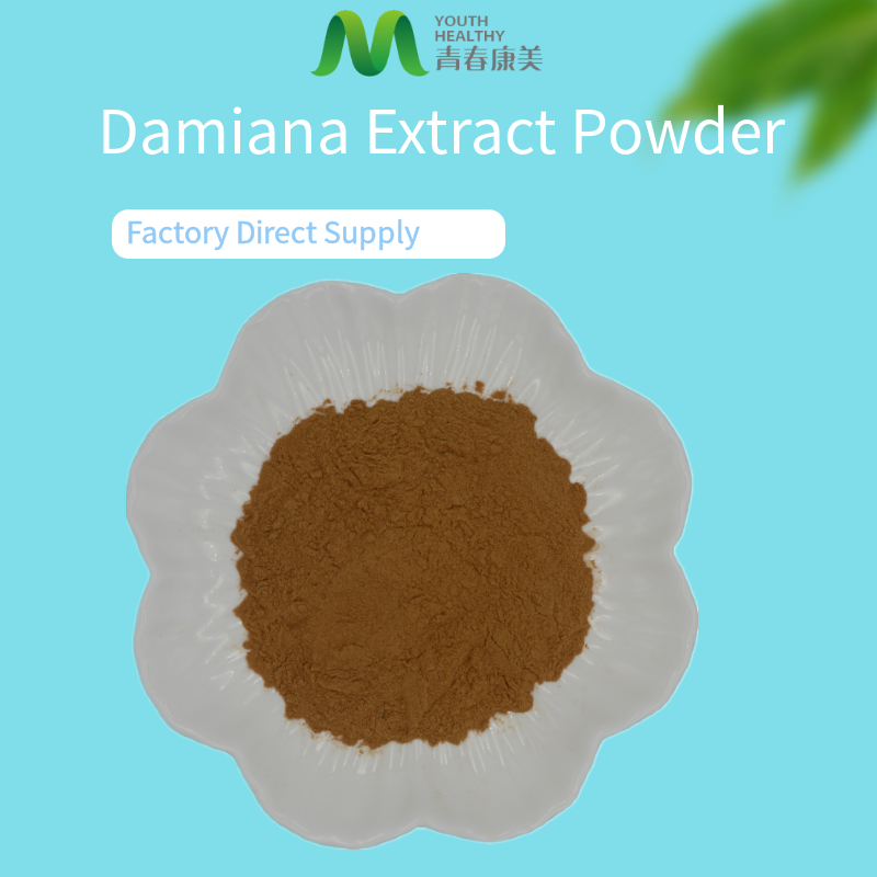 Bulk Price Damiana Leaf Plant Extract Powder