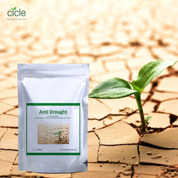 Glycine betaine protect plants from abiotic stress