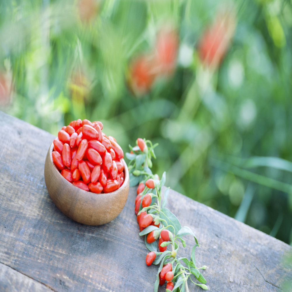 Gecertificeerde hoogwaardige biologische Chinese wolfberry