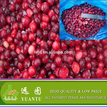 2015 Crop Frozen Cranberry In Good Frozen Condition On Hot Sale