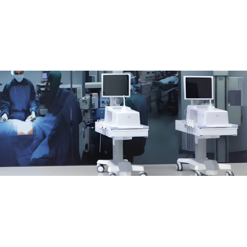 Ultrasonography Laparoscopic Surgery Practice Simulator Manufactory