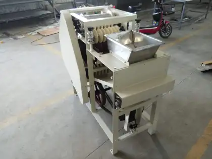 wet/dry nuts/ peanut red skin peeling machines