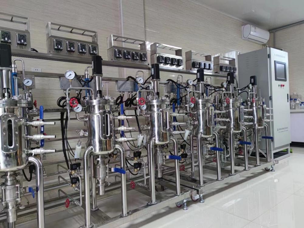 Lab Stainless Steel Bioreactor