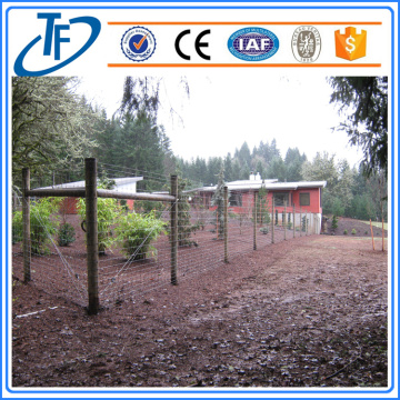 200g / m2 Hot Dipped Galvanized Farm Fence, Pagar Ternak