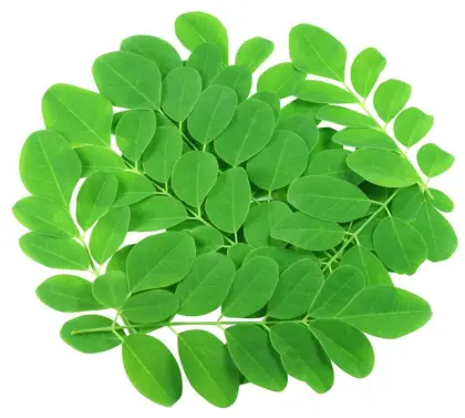 Organic Green Moringa Leaf Powder 100% Natural