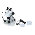 C 100V-240V de amplio rango de microscopio estéreo binocular