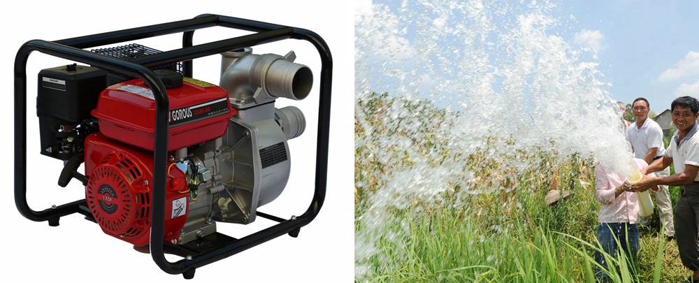 1 Tragbare Gasbetriebene Wasserpumpe Gartenbewässerung Pump 4