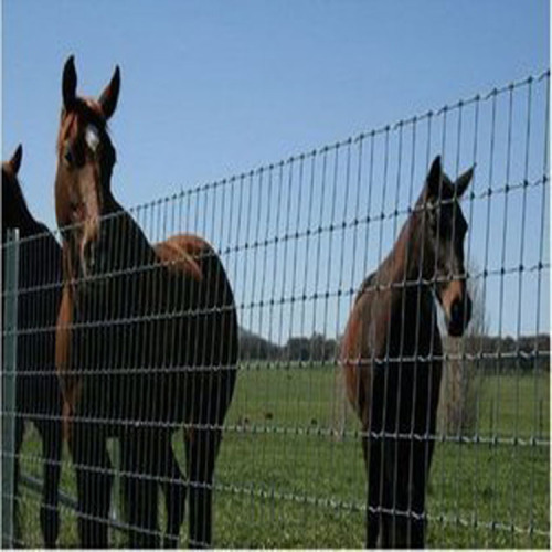 heavy galvanized high strength cattle deer wild fence