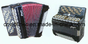 Button Accordion (LAC81120)