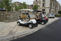 Carros de golf de 2 plazas a gasolina o a gasolina