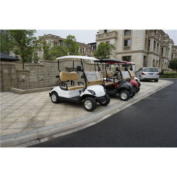 Carros de golf de 2 plazas a gasolina o a gasolina