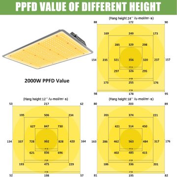 LEDが灯板のフルスペクトルを育てます