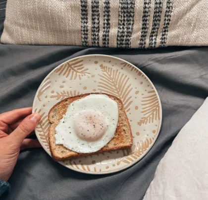 Rustic Farmhouse Dinner Plate Set