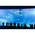 Настройка квадратного прозрачного пластикового аквариума большого размера